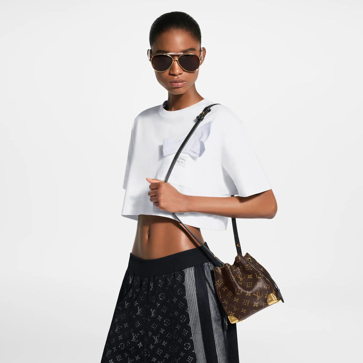 Nano Noé Trunk Monogram Canvas Crossbody Bag