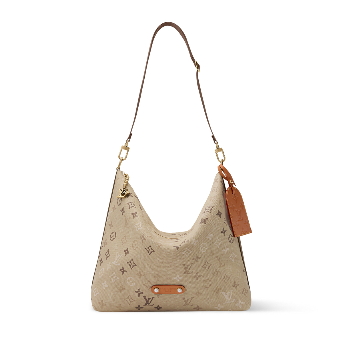 Vagabond Hobo PM Bag Monogram Archive Shoes