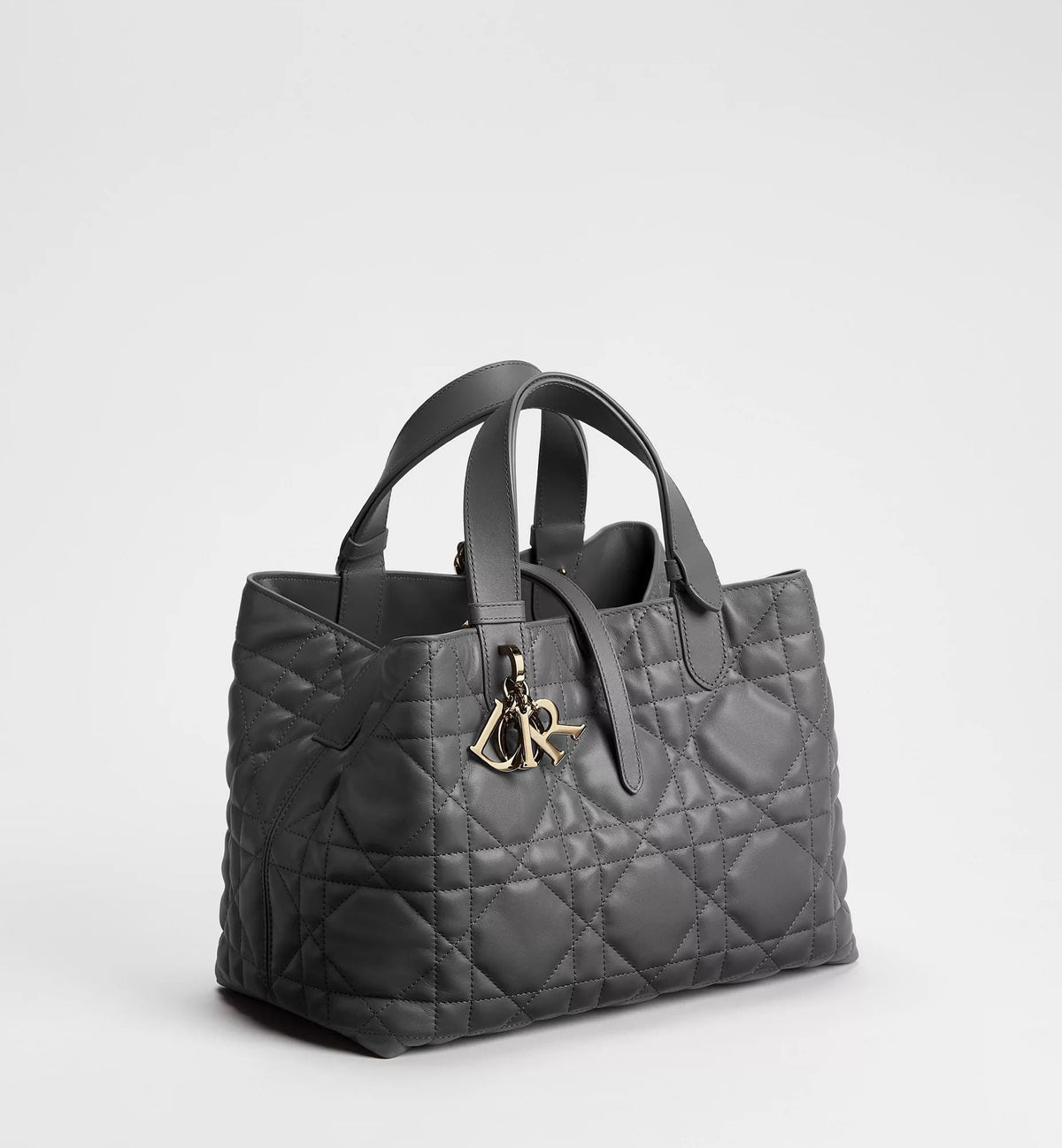 Medium Toujours Bag