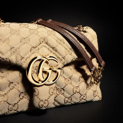 Small Shoulder Luxury Handbag With Canvas