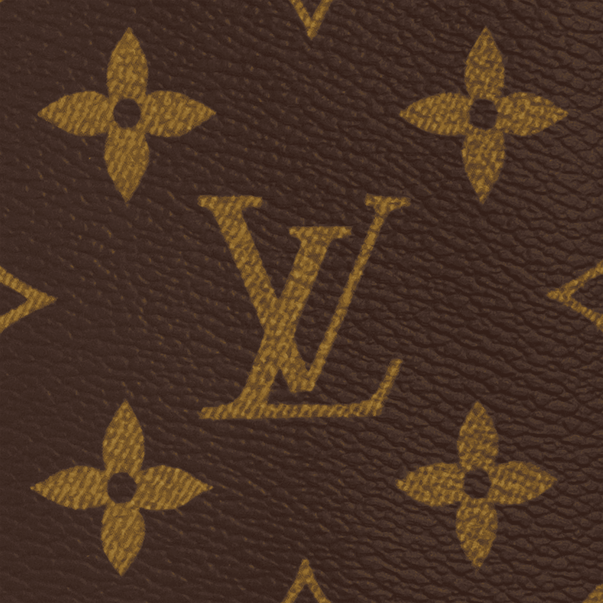 Avenue Slingbag Monogram Macassar Shoes