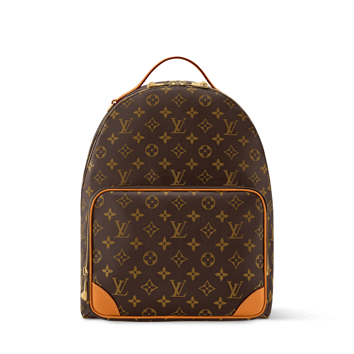 Discovery Cargo Backpack Monogram Shoes
