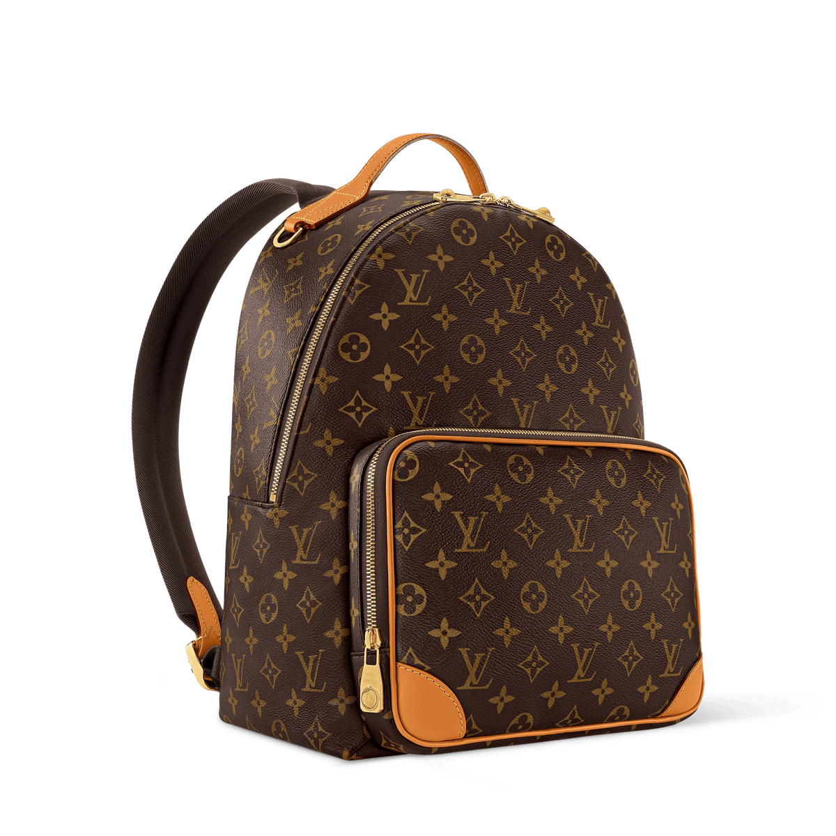 Discovery Cargo Backpack Monogram Shoes