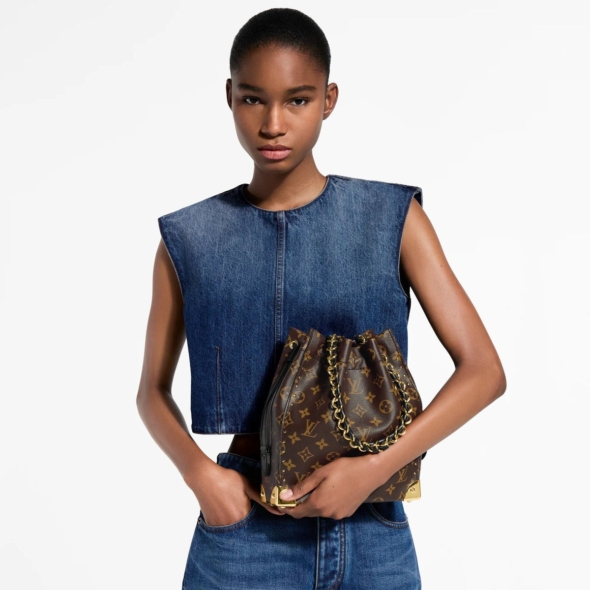 Noé Trunk Monogram Canvas Bucket Bag M28515