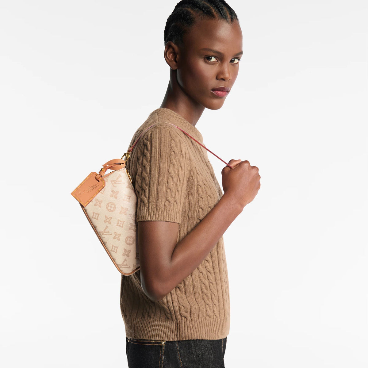 Pochette Accessoires Monogram Canvas Nano Bag M28321