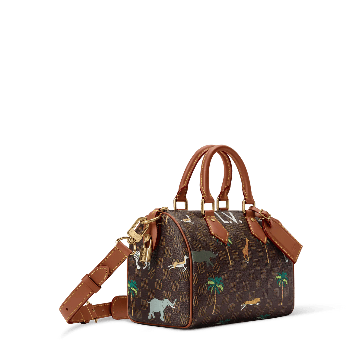 Speedy 25 Bandoulière x The Darjeeling Limited Shoes