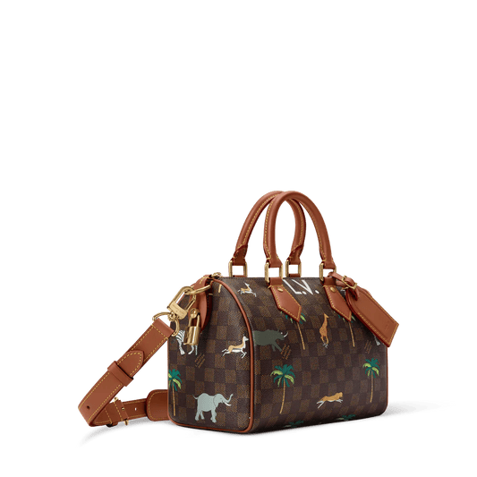 Speedy 25 Bandoulière x The Darjeeling Limited Shoes