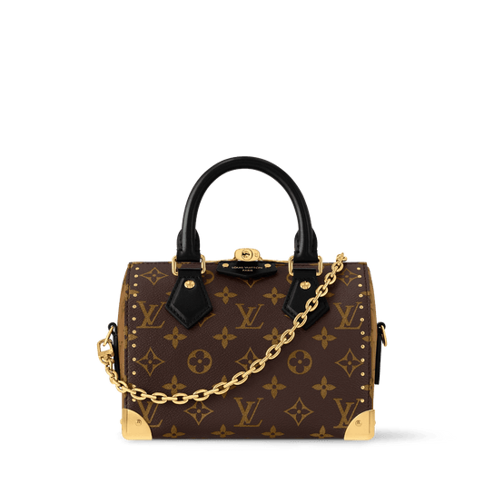 Speedy Trunk 20 Monogram Canvas Handbag M13146