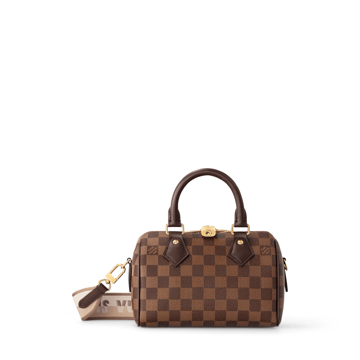 Speedy Bandoulière 20 Damier Ebene Handbag N40489