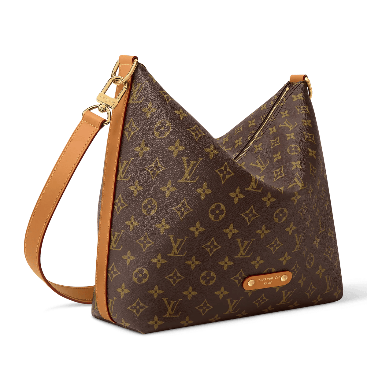 Vagabond Hobo PM Bag Monogram Archive Shoes