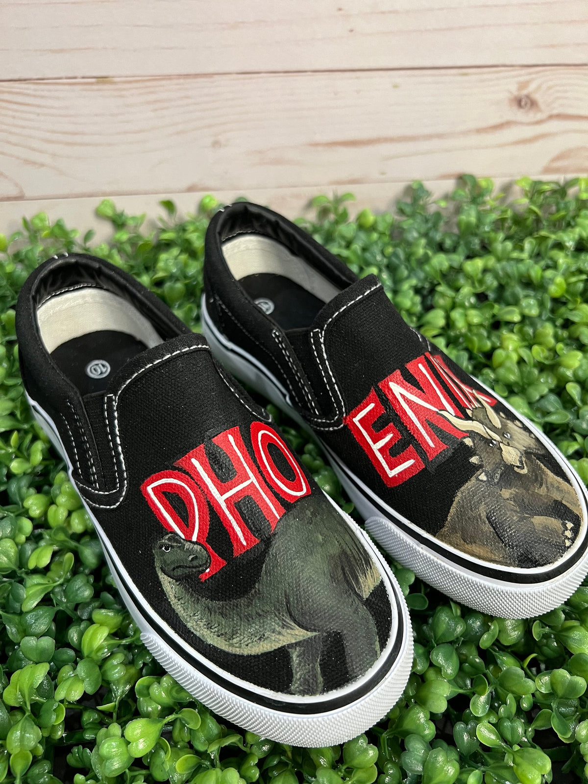 Custom Painted Shoes